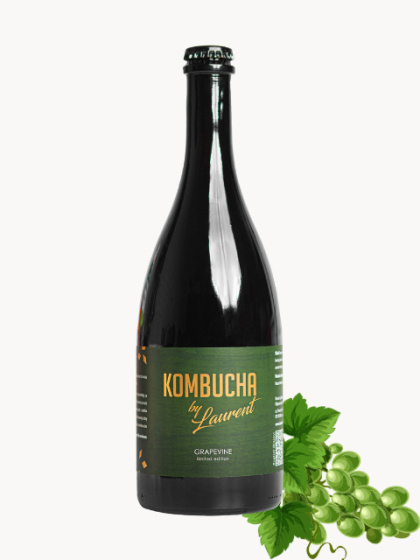 KOMBUCHA GRAPEVINE - Kombucha Grapevine