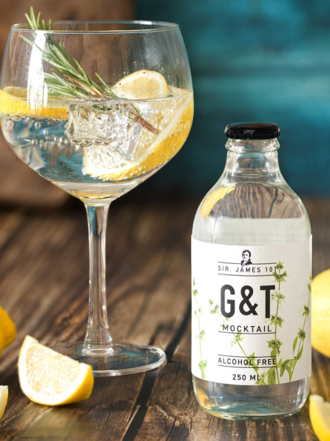 Drink bezalkoholowy gin tonic