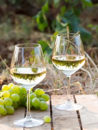 BLUMENWIESE - Riesling Bezalkoholowy