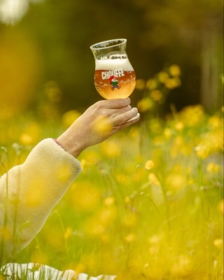 LA CHOUFFE - Belgijskie bezalkoholowe piwo Belgian Ale
